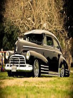cover image of The Lowriders